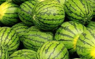 每日吃瓜大赛入口